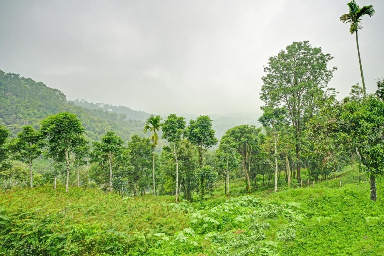 Oyo Flagship 81260 Star Lights Hotel Munnar Luaran gambar